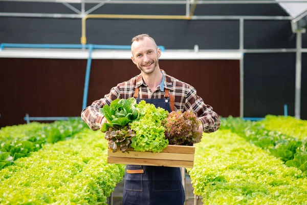 A man owns a hydroponic vegetable garden, he grows wholesale hydroponic vegetables in restaurants and supermarkets, organic vegetables. new generations growing vegetables in hydroponics concept