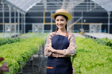 Hidroponik sebze çiftliğindeki kadın restoranlarda, süpermarketlerde, organik sebzelerde toptan hidrofonik sebzeler yetiştiriyor. Hidroponik konseptinde sebze yetiştiren yeni nesiller