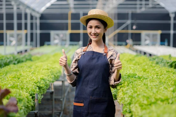 Hidroponik sebze çiftliğindeki kadın restoranlarda, süpermarketlerde, organik sebzelerde toptan hidrofonik sebzeler yetiştiriyor. Hidroponik konseptinde sebze yetiştiren yeni nesiller