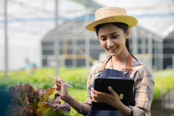 stock image Female gardener holding the tablet in hydroponics field grows wholesale hydroponic vegetables in restaurants and supermarkets, organic vegetables. growing vegetables in hydroponics concept.