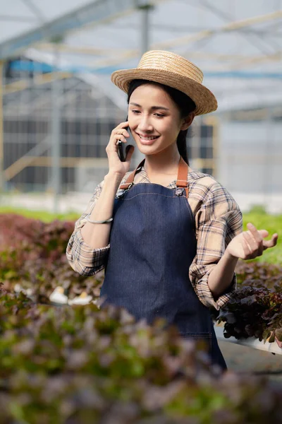 Hidrofonik Bahçede Telefonla Konuşan Kadın Bahçıvan Restoranlarda Süpermarketlerde Toptan Hidrofonik — Stok fotoğraf