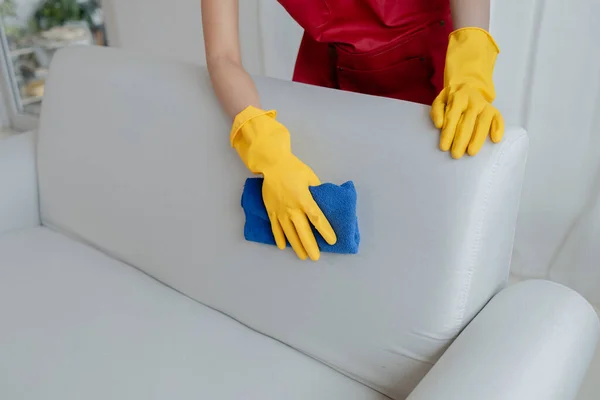 Female cleaning staff, housekeeper cleaning the sofas in the company office, maintaining cleanliness in the office. Cleaning concept and housekeeper taking care of cleanliness and order in the office.