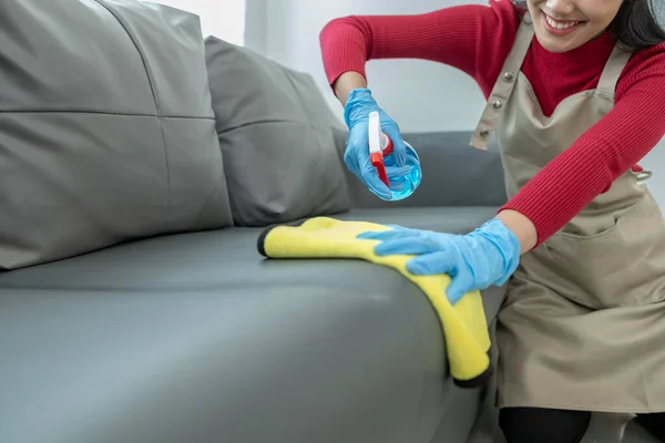 The housekeeper is cleaning the living room inside the house, Cleaning the couch with a towel and sanitizer, Wear rubber gloves when working with cleaning chemicals, cleaning idea.