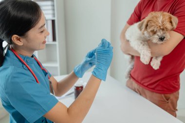 Köpeğin sahibi, hasta olduğu için veteriner tarafından muayene edilmek üzere köpeği hastaneye götürdü. Masada bir köpek vardı ve veteriner tarafından iyice muayene edildi..