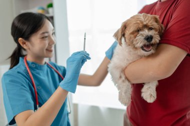 Bir hayvan hastanesinde veteriner tarafından bir köpeğe iğne yapılıyor bir veteriner, bir hayvan hastanesindeki özel ofisinde bir köpeği aşılamaya hazırlanıyor.,