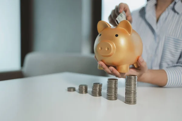 Accountant is putting money into a piggy bank, Financier is bringing savings methods to clients who come to receive advice, Employees are taking customers\' savings and keeping them safe.