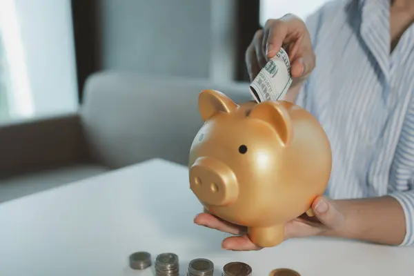 Accountant is putting money into a piggy bank, Financier is bringing savings methods to clients who come to receive advice, Employees are taking customers\' savings and keeping them safe.