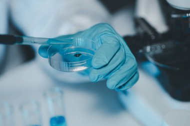 Steril giyim ve güvenlik gözlüklü genç bilim adamları bir tıp laboratuarında mikroskop kullanarak araştırma yürüterek ciddi bir konsantre kadın mikrobiyolog olarak masada oturuyorlar..