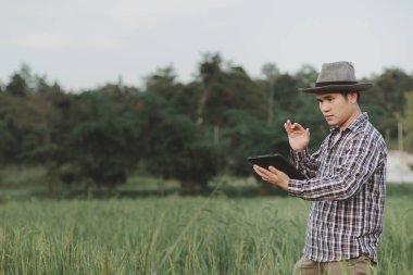 Bir çiftçi mısır gevreği tarlasını inceliyor ve tabletten bulut verilerini gönderiyor. Akıllı tarım ve dijital tarım. Genç çiftçi buğday tarlasında dizüstü bilgisayarla çalışıyor.. 