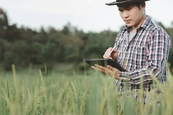 stock image A man farmer examines the field of cereals and sends data to the cloud from the tablet, Smart farming and digital agriculture, young farmer works with a laptop in a wheat field. 