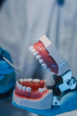 Diş hekimi, dişlerin anatomisini incelemek için özel diş donanımı kullanır. Dişler, hastaları tedavi etmek için bilgiyi kullanmadan önce dişlerin anatomisini incelemek için uzmanlar tarafından incelenir..