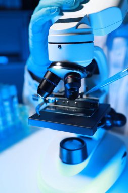 Yetenekli bir bilim adamı laboratuarında mikroskop kullanarak mikroskobik organizmaları mikroskop altında inceler. Araştırmacılar tarafından insanları tedavi etmek için yeni ilaçlar bulmak için kullanılır..