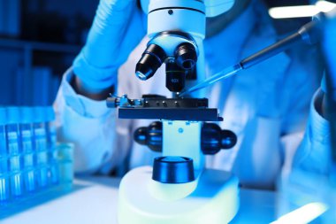 Yetenekli bir bilim adamı laboratuarında mikroskop kullanarak mikroskobik organizmaları mikroskop altında inceler. Araştırmacılar tarafından insanları tedavi etmek için yeni ilaçlar bulmak için kullanılır..