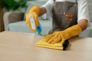 Genç bayan ev işi yapıyor, bir eş ailesinin evini temizliyor, ellerini temizlik spreyinden korumak için eldiven giyiyor, önlük takıyor ve tozları temizlemek için havlu kullanıyor.