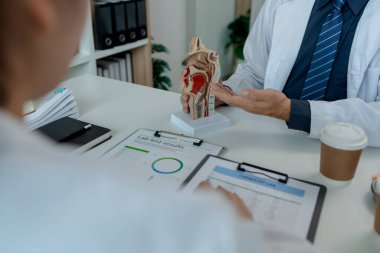 İki ENT uzmanı bir hasta için en uygun tedaviyi tartışıyorlar, iki doktor ENT tedavisi, anatomi, stetoskop, model hakkındaki görüşlerini paylaşıyorlar