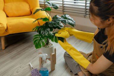 Her bir mobilyayı ve dekorasyonu, ailesi eve dönmeden temiz ve düzenli tutmak için temizler, oturma odasındaki tozu sprey ve havluyla temizler, eldiven ve önlük giyer..