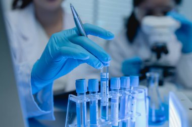 Bir kadın kimyager laboratuvarda çeşitli sıvı bileşiklerini test ediyor, bir bilim adamı bu gelişim üzerine araştırma yapıyor, laboratuvar, test tüpü ve bilimsel ekipmanlarda çalışırken önlük giyiyor.