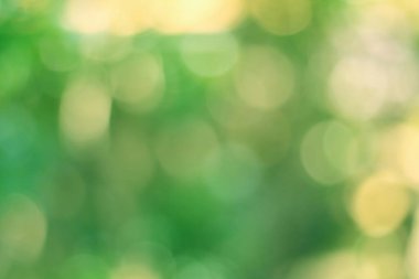 Yeşil bokeh soyut, doğal arkaplanda bulanık parlak ışık deseni.