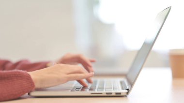 Dizüstü bilgisayarda yazan genç bir kadının yan görüntüsü