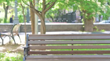 Middle Aged Businessman Coming, Sitting on Bench and Opening Laptop