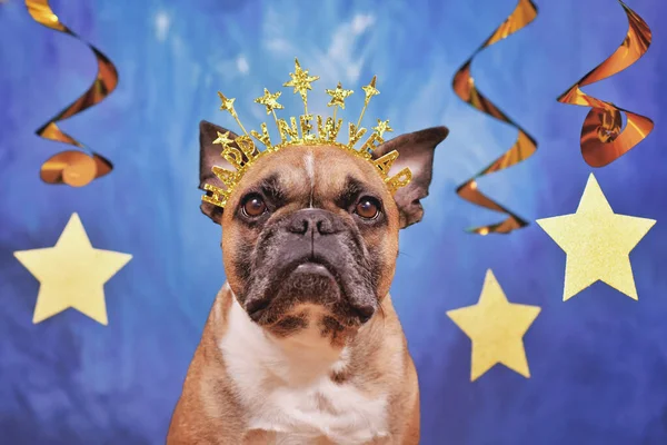 stock image French Bulldog dog wearing New Year's Eve party headband with text 'Happy new year' in front of blue background with golden garlands