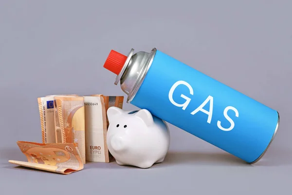 Gas cartridge bottle with piggy bank and Euro bills. Concept for saving gas.
