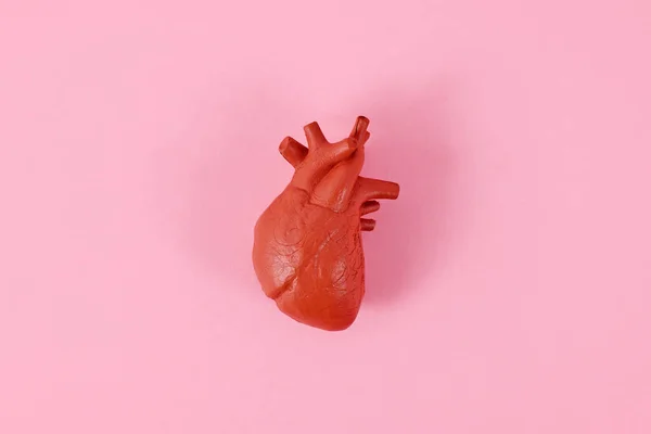 Einzelnes Herzorgan Modell Auf Rosa Hintergrund — Stockfoto