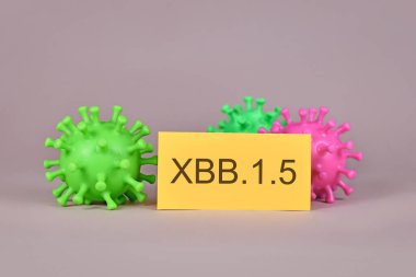 Virüs modeli ve metin ile yeni XBBB1,5 Omicron alt değişken virüs mutasyonu kavramı