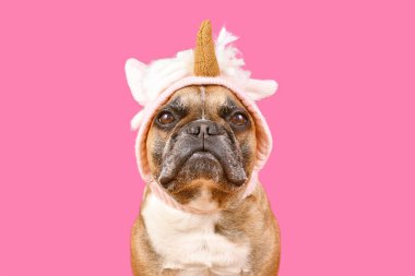 French Bulldog dog with wearing a funny knitted unicorn costume hat in front of pink background