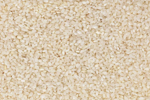 Top View Raw Grain Rice — Stock Photo, Image