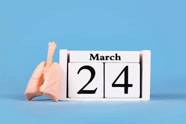 World Tuberculosis Day Concept Lung Organ Model Calendar Date March — Zdjęcie stockowe