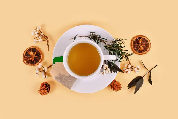 Tea cup surrounded by seasonal forest decoration on beige background