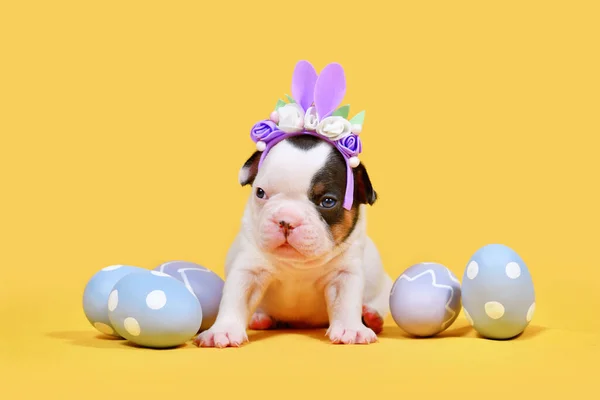 Französische Bulldogge Mit Osterhasenohren Und Eiern Auf Gelbem Hintergrund — Stockfoto