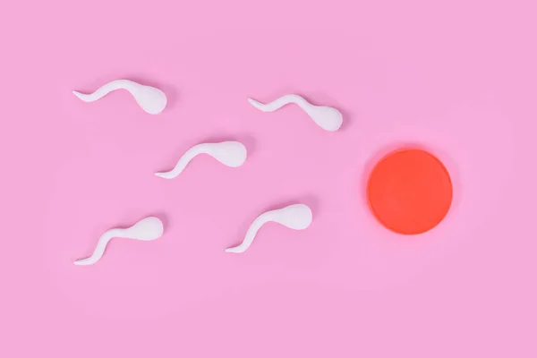 Pembe Arka Planda Yumurta Hücresine Doğru Yüzen Sperm Hücreleri — Stok fotoğraf