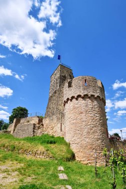 Almanya 'nın Rhineland-Palatinate kentindeki Wachenheim şehrinde Wachtenburg adlı bir mahmuz kalesi harabesi.