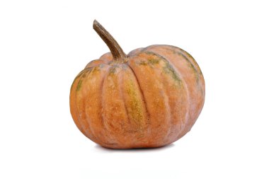 Beyaz arka planda turuncu misk de Provence balkabağı