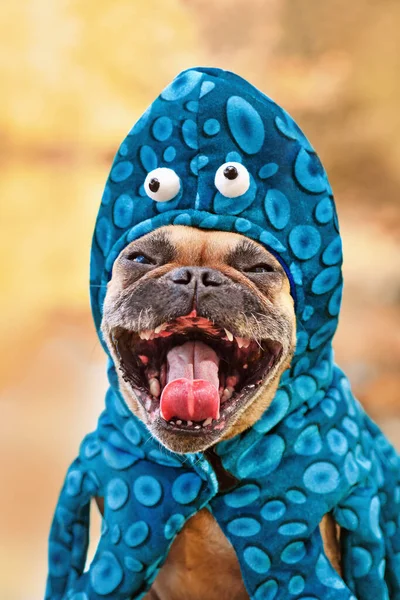 Funny French Bulldog Dog Octopus Halloween Costume Making Spooky Face — Stock Photo, Image