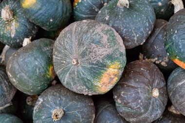 Koyu yeşil Japon Kabakulak yığını