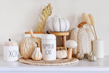 Boho stili balkabakları ve kurumuş çiçeklerle sonbahar dekoru ve kopyalama alanı