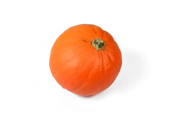 白い背景に小さなオレンジのシュガーパイカボチャ — ストック写真