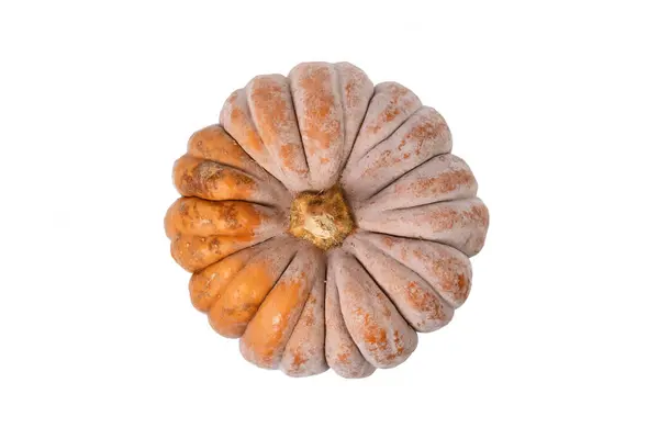 stock image Top view of mature ribbed 'Black Futsu' pumpkin squash with orange skin on white background