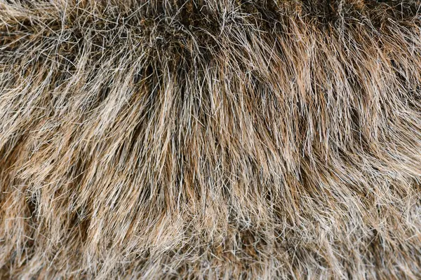 Açık kahverengi sentetik sahte kürke yakın çekim