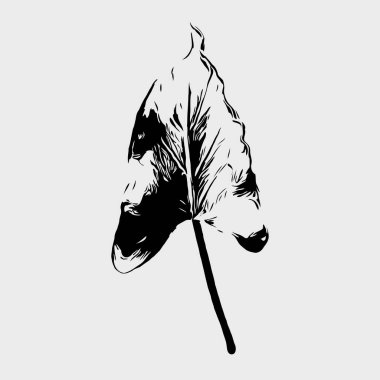 Silueti bırak. Beyaz bir arkaplanda izole edilmiş