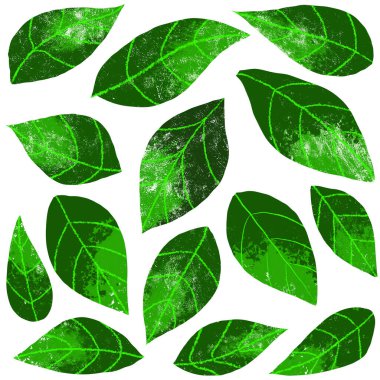 Yeşil yapraklar. Çiçek illüstrasyonu 