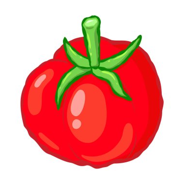 Beyaz arkaplanda vektör taze domates.