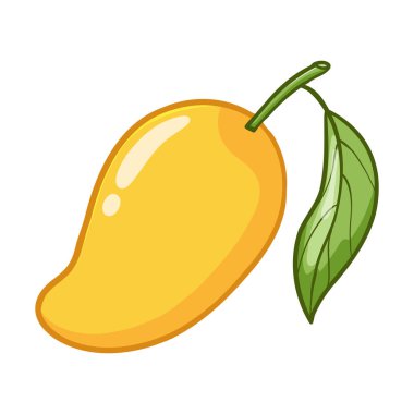 Mango, beyaz arka planda izole edilmiş bir illüstrasyon. vektör