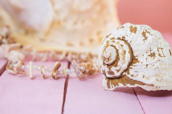 White shell on pale pink wooden boards on blurred background. Travel, holiday, summer. Copy space