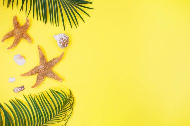 Turuncu deniz balıkları, deniz kabukları ve sarı arka planda palmiye ağaçları ile yaz en düşük arka plan. Estetik fotoğrafçılık. Seyahat et. Boşluğu kopyala