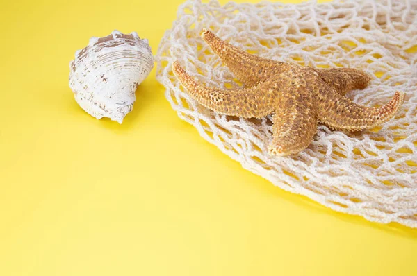 Starfish, shells with bag string bag on yellow background. Concept of summertime, vacation, travel. Copy space
