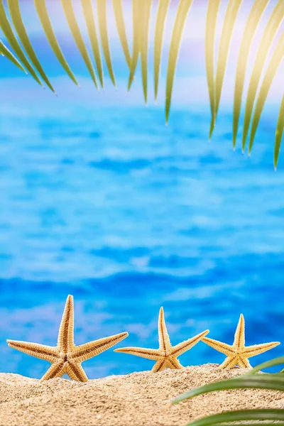 Orange starfish on sandy beach with palm tree behind sea background. Vertical. Summer, vacation, tourism in hot country. Copy space